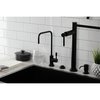 Kingston Brass SingleHandle Water Filtration Faucet, Matte Black KS6190DL